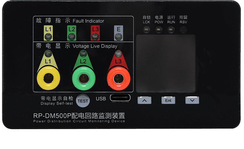 RP-DM500P03